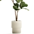 Stylish Ficus Lyrata Indoor Tree 3D model small image 3