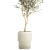 Stylish Decorative Olive Tree 3D model small image 2