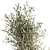 Stylish Decorative Olive Tree 3D model small image 3