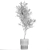 Stylish Decorative Olive Tree 3D model small image 7