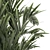 Exotic Plant Collection Set 3D model small image 4