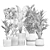 Exotic Plant Collection Set 3D model small image 7