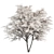Elegant White Dogwood Tree Set 3D model small image 1