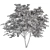 Elegant White Dogwood Tree Set 3D model small image 3