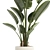 Exotic Tropical Plant Decor- Banana Palm 3D model small image 2