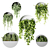 Hanging Planter Circles with Indoor Trailing Plants 3D model small image 1