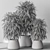 Bamboo Tree Indoor Plant Eco-Friendly 3D model small image 3