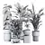 Tropical Plants Set 25 3D model small image 2