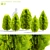 Compact Thuja Tree Models	Collection 3D model small image 1