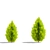 Compact Thuja Tree Models	Collection 3D model small image 7