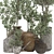 Decorative Olive Tree 3D Model 3D model small image 2