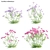 3D Yarrow Plant Models Solution 3D model small image 1