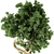 Contemporary Indoor Plant 272 Model 3D model small image 2