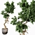 Modern Indoor Plant Model 273 3D model small image 1