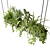 Hanging Plant Mesh - Indoor & Hanging Plants 3D model small image 3