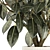 Modern Concrete Vase Ficus Collection 3D model small image 5