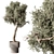 Russian Indoor Plant Tree Pot 3D model small image 1