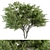 Citrus Bliss Tree Set 171 3D model small image 1