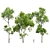 Spring Trees 3D Models Bundle 3D model small image 1