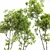 Spring Trees 3D Models Bundle 3D model small image 5