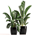 Modern Indoor Plant Set 039 3D model small image 1