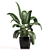 Modern Indoor Plant Set 039 3D model small image 2