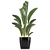 Modern Indoor Plant Set 039 3D model small image 3