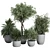 Outdoor Plant Set 156 Trees 3D model small image 1