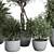 Outdoor Plant Set 156 Trees 3D model small image 3