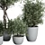 Outdoor Plant Set 156 Trees 3D model small image 4