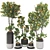 Tangerine Tree Pot Collection 110 3D model small image 1