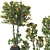 Tangerine Tree Pot Collection 110 3D model small image 2