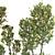 Tangerine Tree Pot Collection 110 3D model small image 3