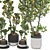 Tangerine Tree Pot Collection 110 3D model small image 4