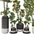 Tangerine Tree Pot Collection 110 3D model small image 5