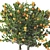 Tangerine Tree Pot Collection 110 3D model small image 6