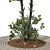 Tangerine Tree 3D Model Collection 3D model small image 4
