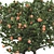 Tangerine Tree 3D Model Collection 3D model small image 5