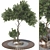 Urban Garden Bench Tree Collection 3D model small image 1