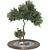 Urban Garden Bench Tree Collection 3D model small image 2