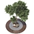 Urban Garden Bench Tree Collection 3D model small image 3