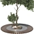 Urban Garden Bench Tree Collection 3D model small image 4