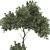 Urban Garden Bench Tree Collection 3D model small image 6