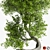 Sculpted Tree Duo, 2016 Design 3D model small image 6