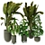 Modern Indoor Plant 280 Decor 3D model small image 1