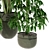 Modern Indoor Plant 280 Decor 3D model small image 3