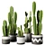 Modern Indoor Cactus Plant Model 3D model small image 1