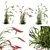 Foxtail Barley HQ Plants Pack 3D model small image 2