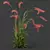 Foxtail Barley HQ Plants Pack 3D model small image 3