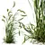 Foxtail Barley HQ Plants Pack 3D model small image 4